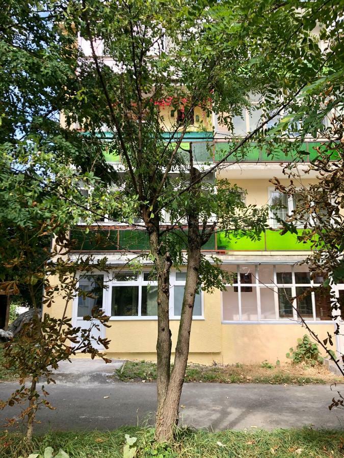 Apartament Toplita Zewnętrze zdjęcie